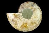 Agatized Ammonite Fossil (Half) - Madagascar #135287-1